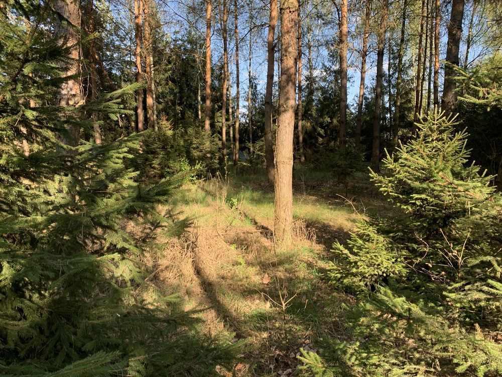 Działka budowlana Chrustne. Zdjęcie 5