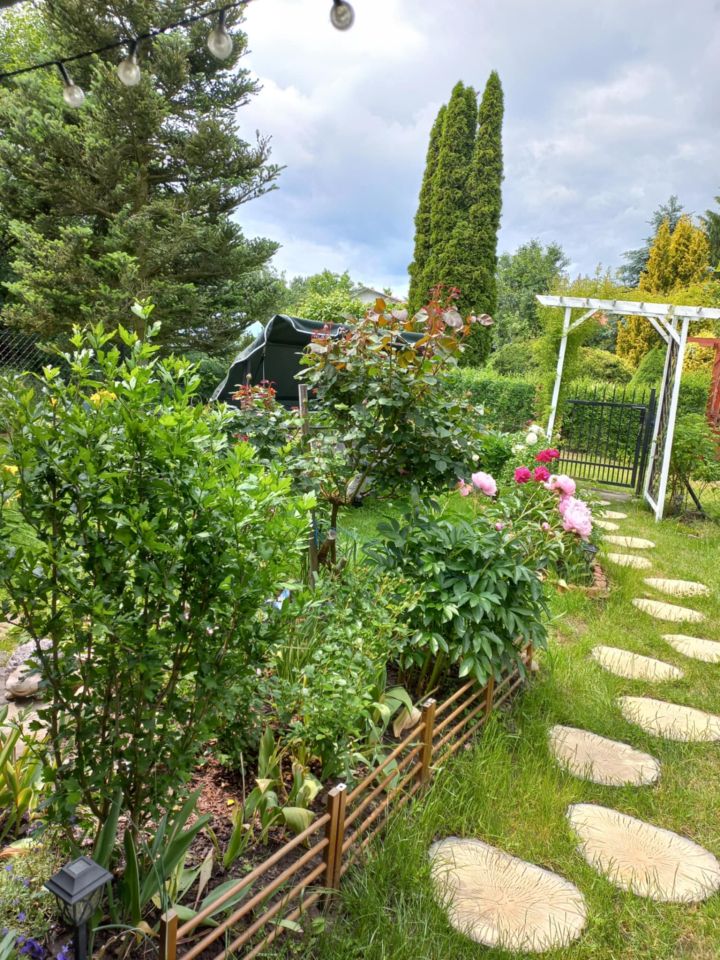 Działka rod Dys Bernatówka, ul. Bernatówka. Zdjęcie 24