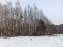 Działka rolna Bieliny. Zdjęcie 4