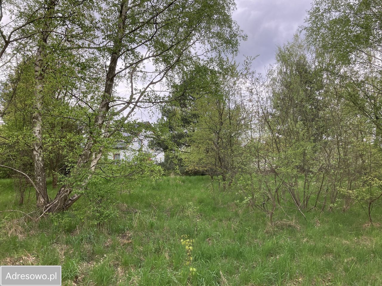 Działka budowlana Jagatowo, ul. Maślakowa. Zdjęcie 9