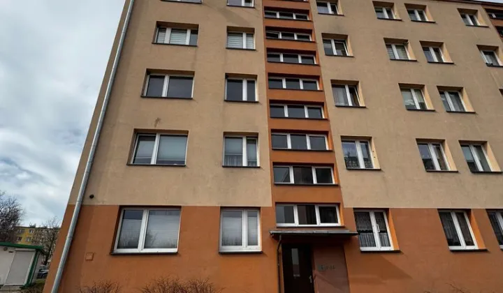 Mieszkanie 1-pokojowe Nowiny, ul. Białe Zagłębie