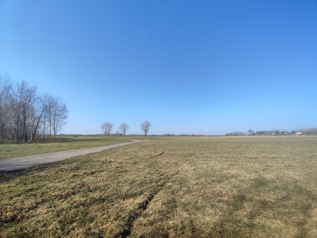 Działka siedliskowa Ostrowiec. Zdjęcie 7