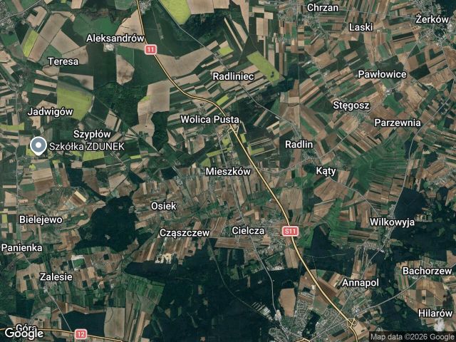 Działka rolna Mieszków. Zdjęcie 1