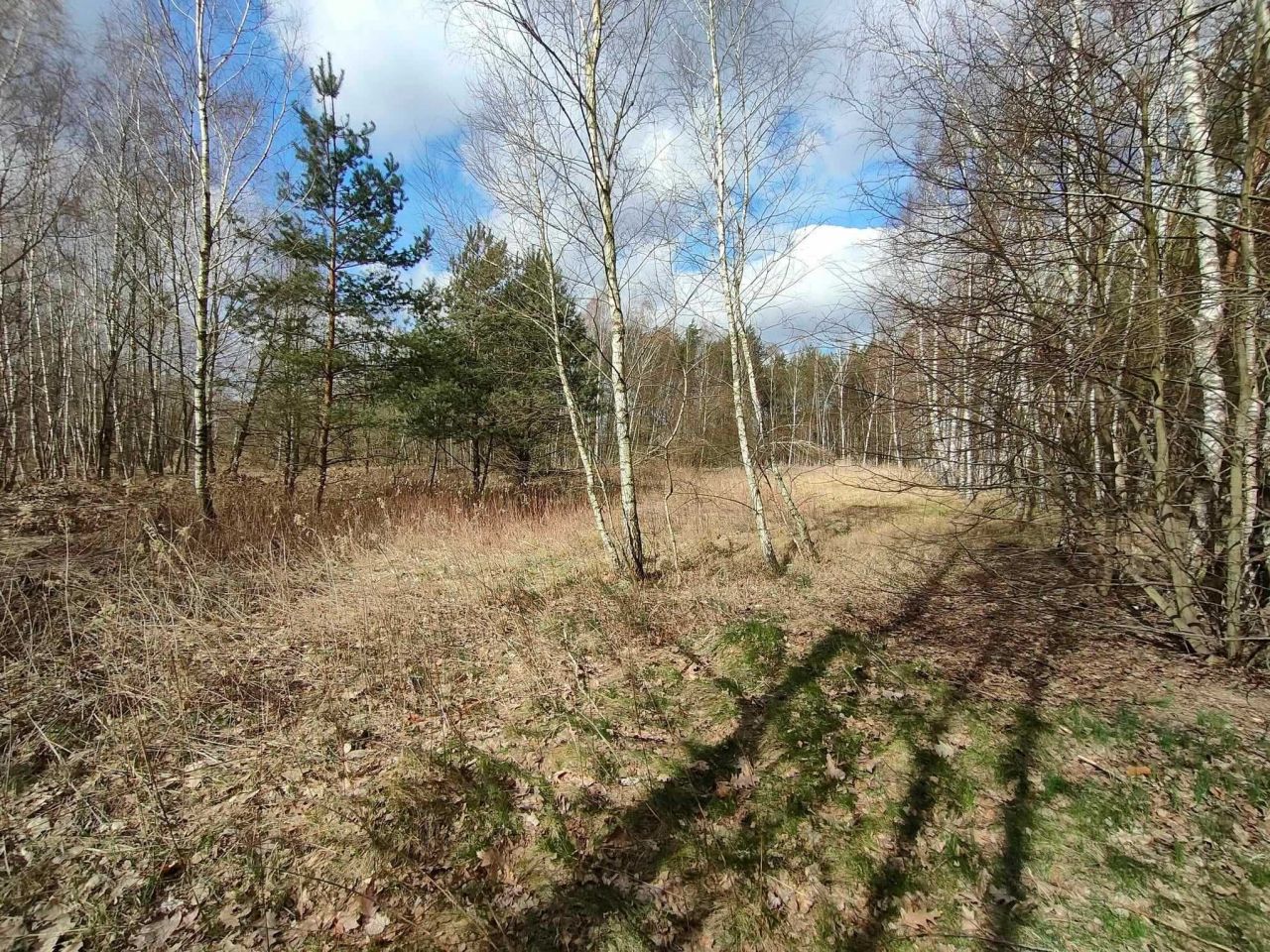 Działka budowlana Płock Tokary-Rąbież. Zdjęcie 3