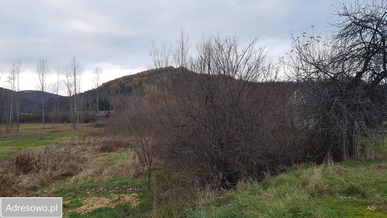 Działka inwestycyjna Bóbrka. Zdjęcie 9