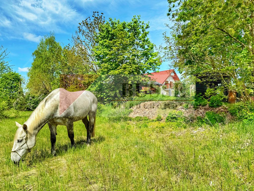 dom wolnostojący, 7 pokoi Trzeszczyn. Zdjęcie 35