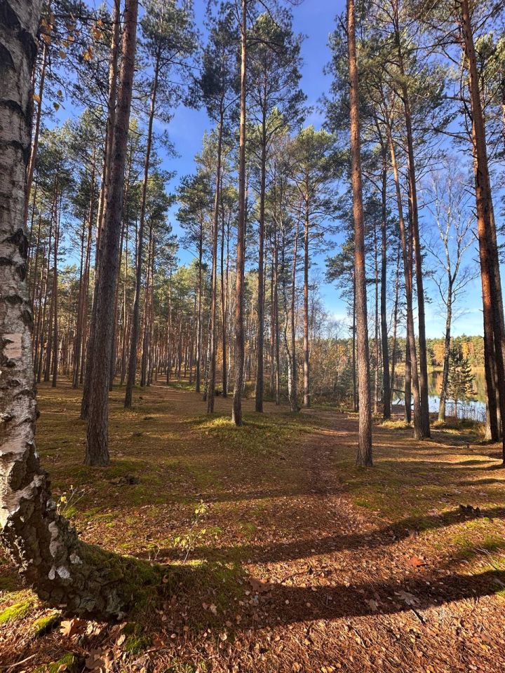 Działka budowlana Chełmica. Zdjęcie 7
