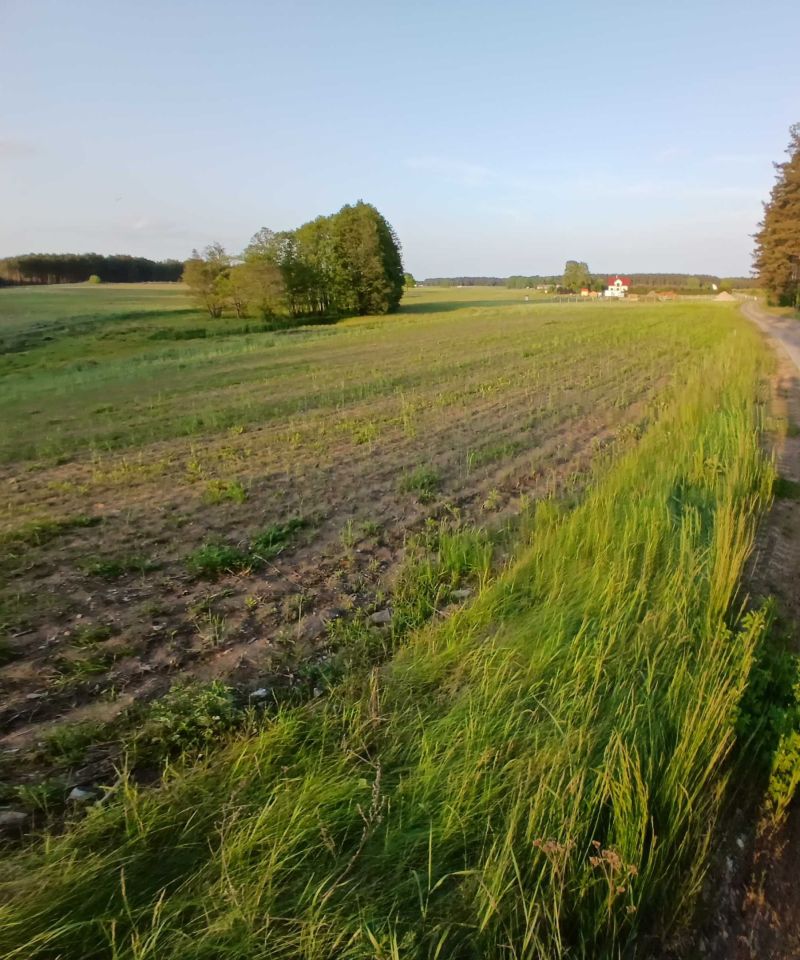 Działka rolno-budowlana Popielewo. Zdjęcie 5
