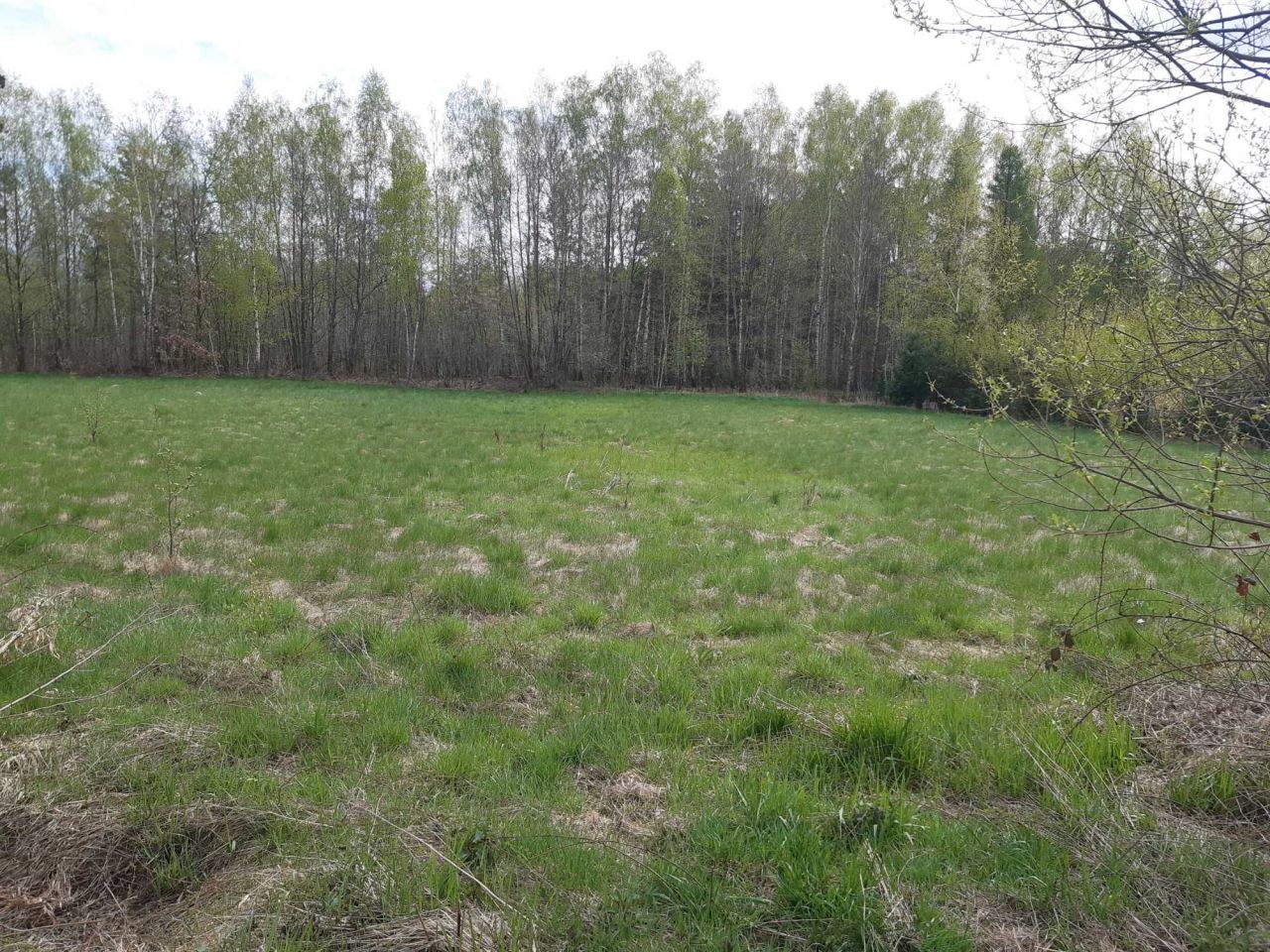 Działka Krasne Kosów. Zdjęcie 7