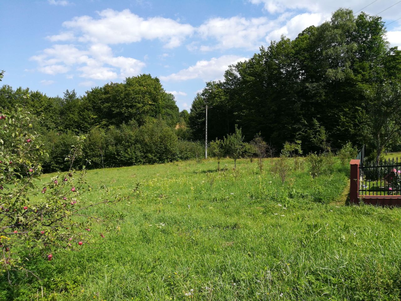 Działka inna Skawinki, ul. Leszczynowa. Zdjęcie 11