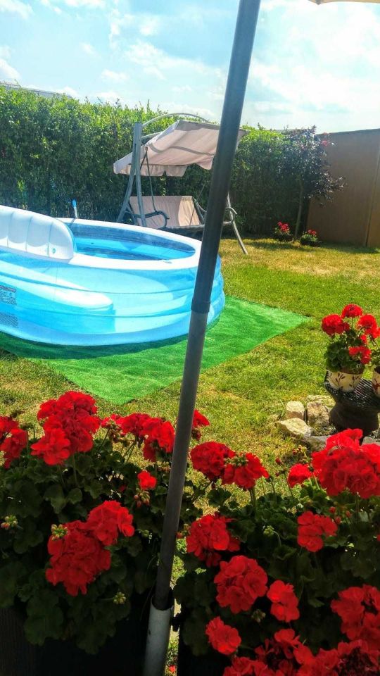 Działka rod Bytom. Zdjęcie 8