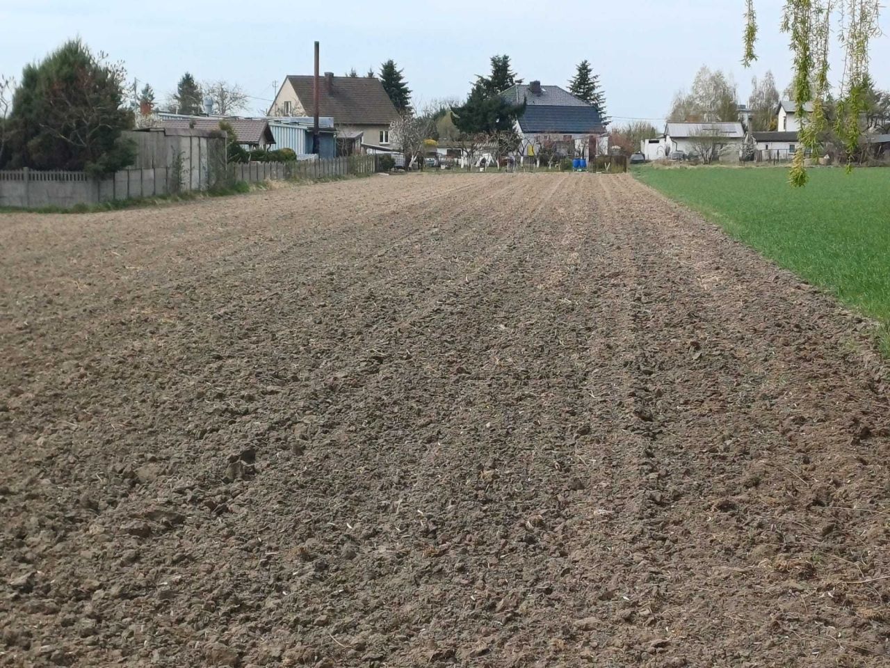 Działka rolno-budowlana Przygodzice, ul. Bursztynowa. Zdjęcie 6