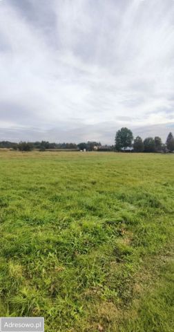 Działka budowlana Palikówka. Zdjęcie 1