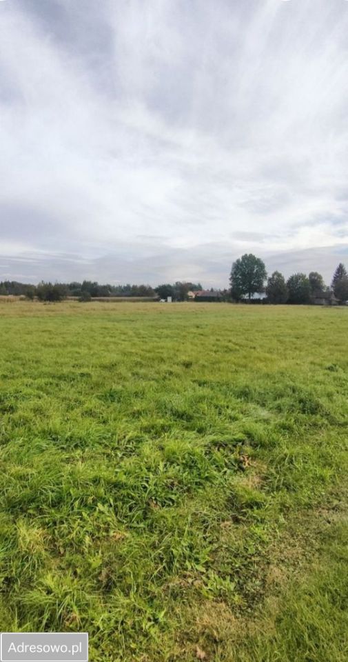 Działka budowlana Palikówka. Zdjęcie 1