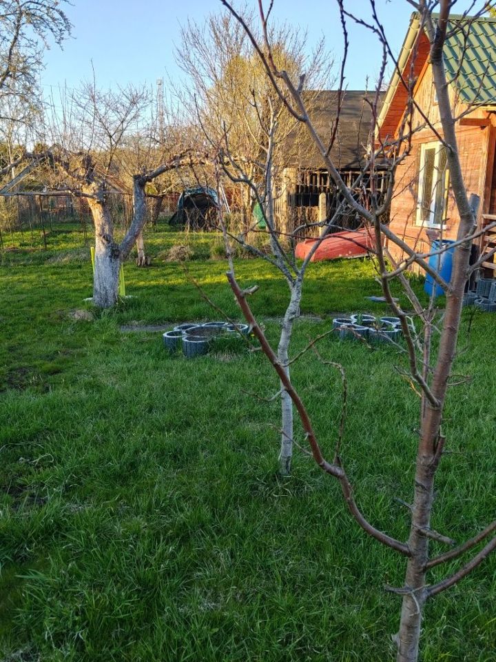 Działka rod Olsztyn, al. Aleja Generała Władysława Sikorskiego. Zdjęcie 7