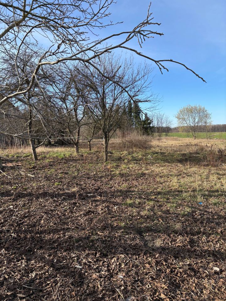 dom wolnostojący Nowa Wieś. Zdjęcie 5