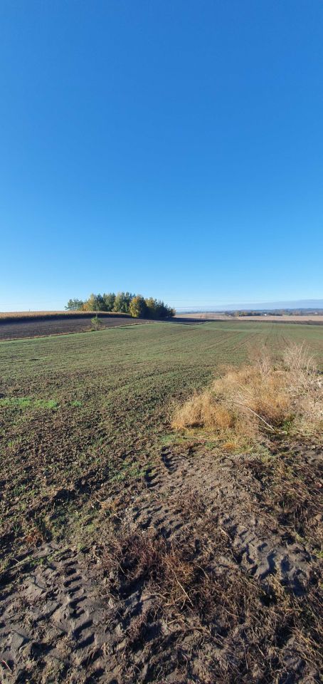 Działka budowlana Nowa Wieś Kętrzyńska. Zdjęcie 3