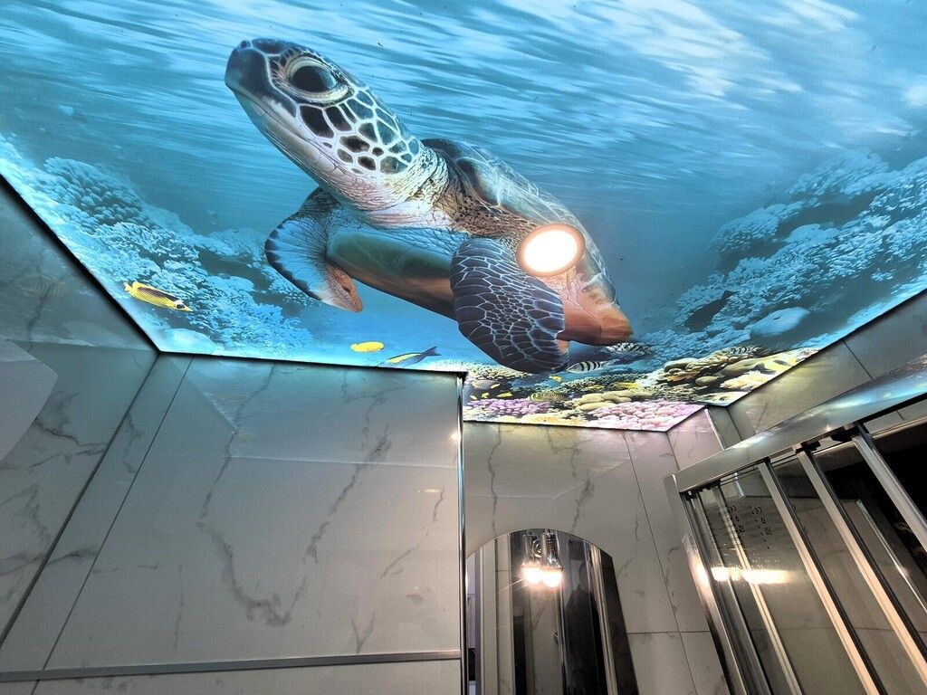 Mieszkanie 1-pokojowe Wrocław Stare Miasto, ul. Grabiszyńska. Zdjęcie 21