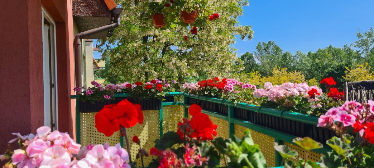 Mieszkanie 3-pokojowe Wrocław Klecina, ul. Cukrowa. Zdjęcie 17