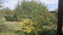 Działka rod Legnica, Ziemnice. Zdjęcie 1