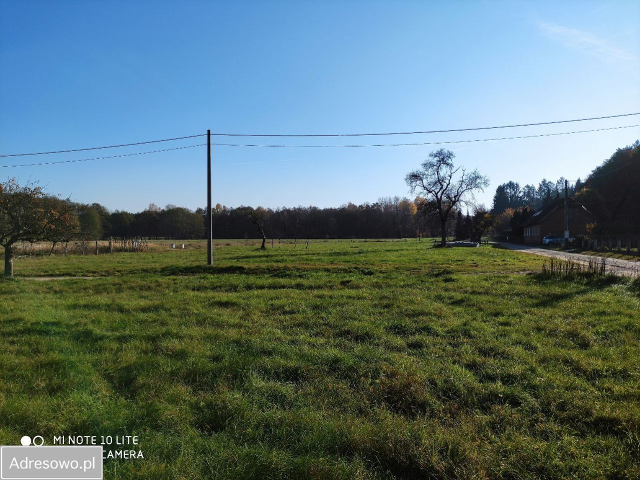 Działka rolno-budowlana Wiewiórowo. Zdjęcie 15