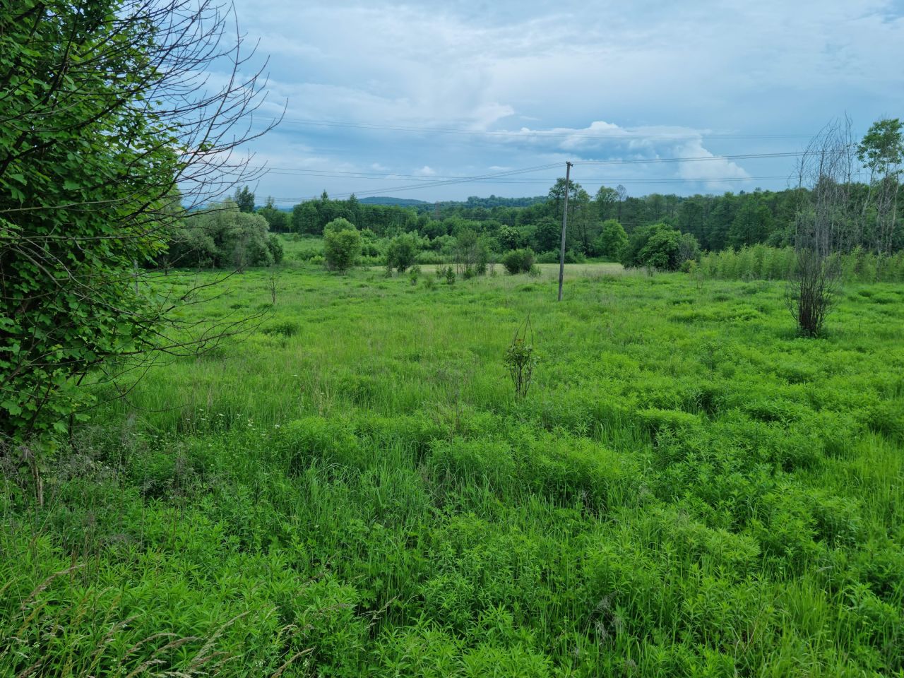 Działka rekreacyjna Krzeszowice Czatkowice Górne, ul. Kasztanowa