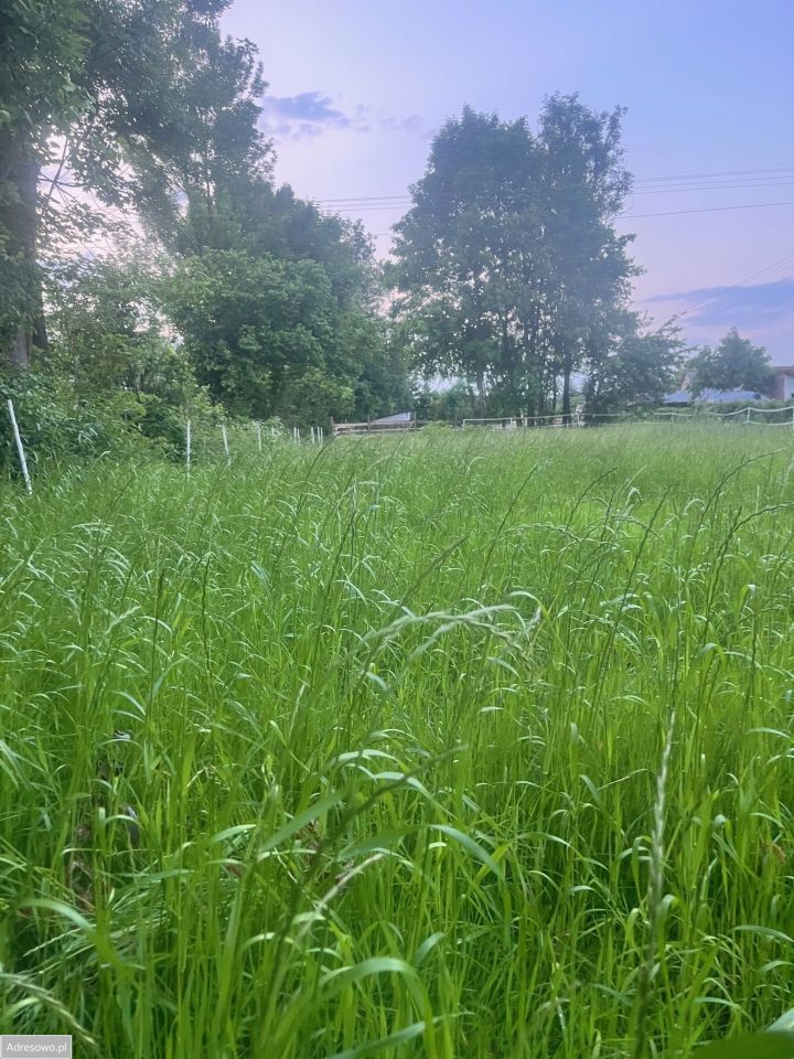 Działka rolno-budowlana Popkowice. Zdjęcie 6
