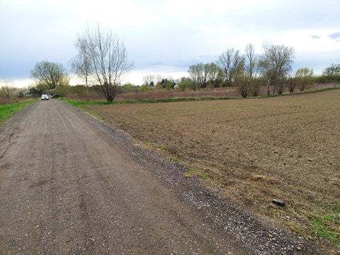 Działka rolno-budowlana Kępa Kiełpińska, ul. Brzegowa. Zdjęcie 3