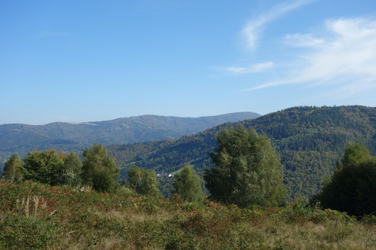 Działka inwestycyjna Ustroń Dobka, ul. Orłowa. Zdjęcie 2