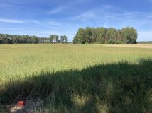 Działka rolno-budowlana Mątasek. Zdjęcie 1