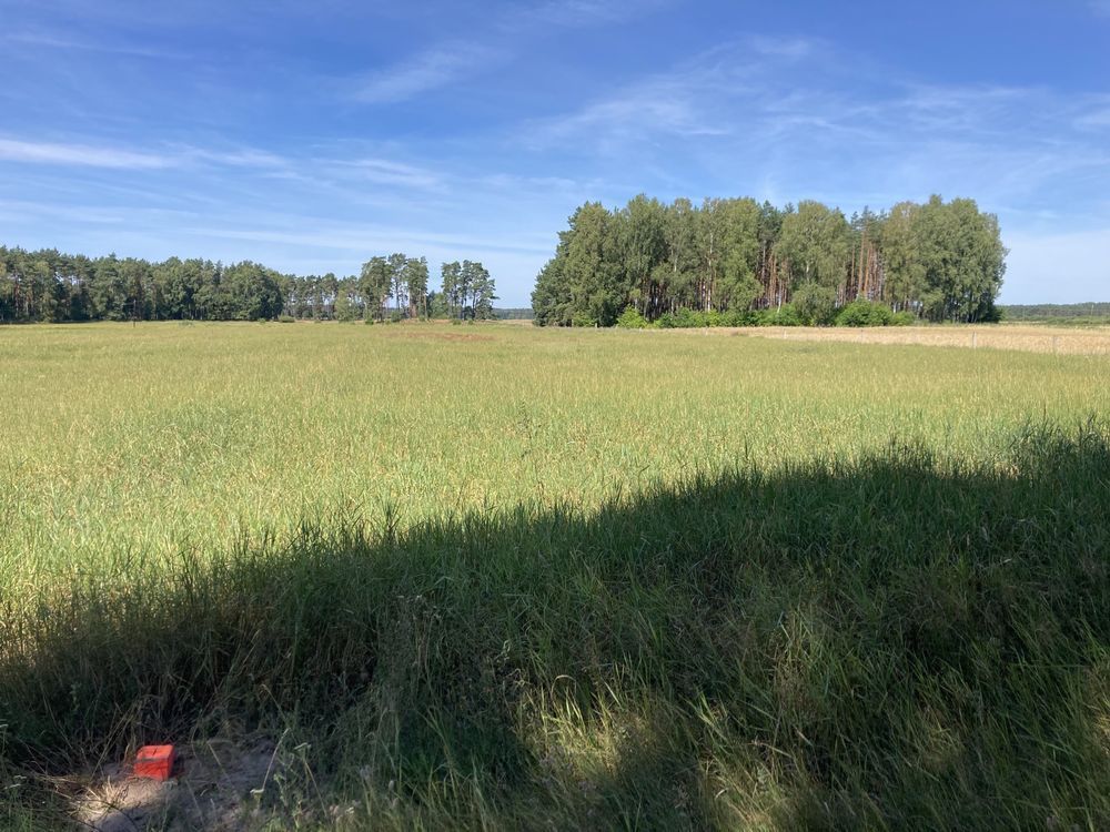 Działka rolno-budowlana Mątasek. Zdjęcie 2