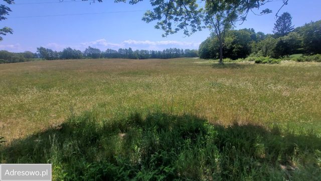 Działka rolno-budowlana Bobięcino. Zdjęcie 7