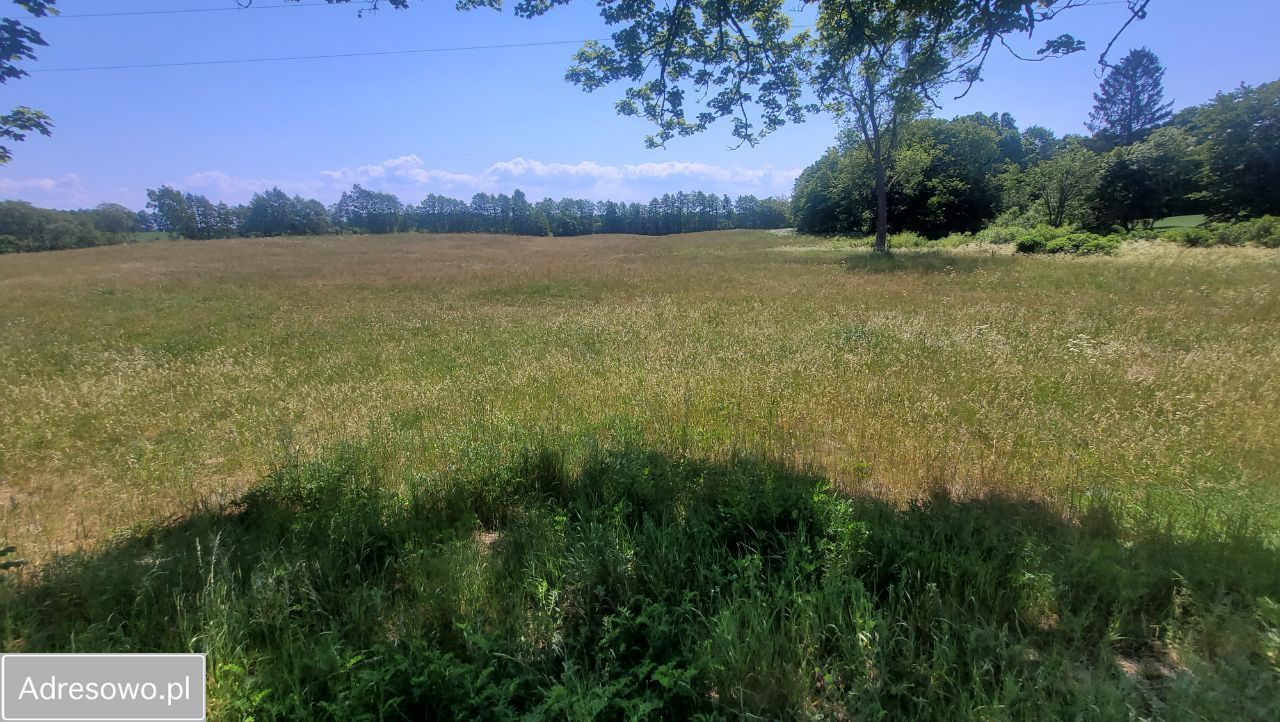 Działka rolno-budowlana Bobięcino. Zdjęcie 7