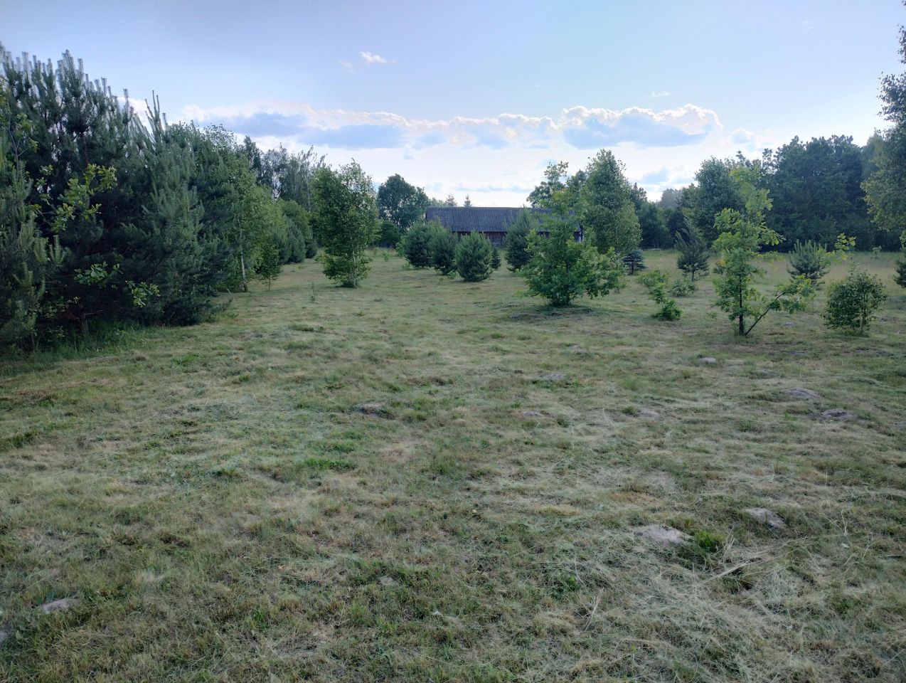 Działka rolno-budowlana Strachówka, ul. Nowa. Zdjęcie 9