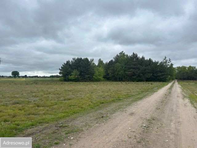Działka budowlana Łacha, ul. Księcia Witolda. Zdjęcie 1