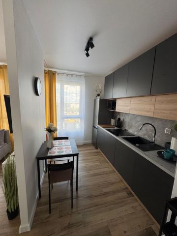 Mieszkanie 1-pokojowe Łódź Śródmieście, ul. Piotrkowska. Zdjęcie 4