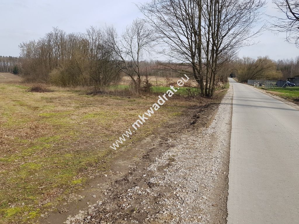 Działka rolna Borszyce. Zdjęcie 1