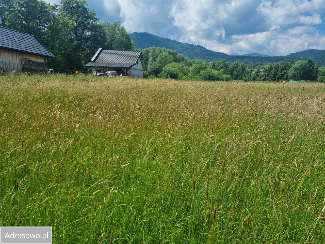 Działka budowlana Kamienica Syjudy. Zdjęcie 3
