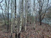 dom wolnostojący Łazy. Zdjęcie 4