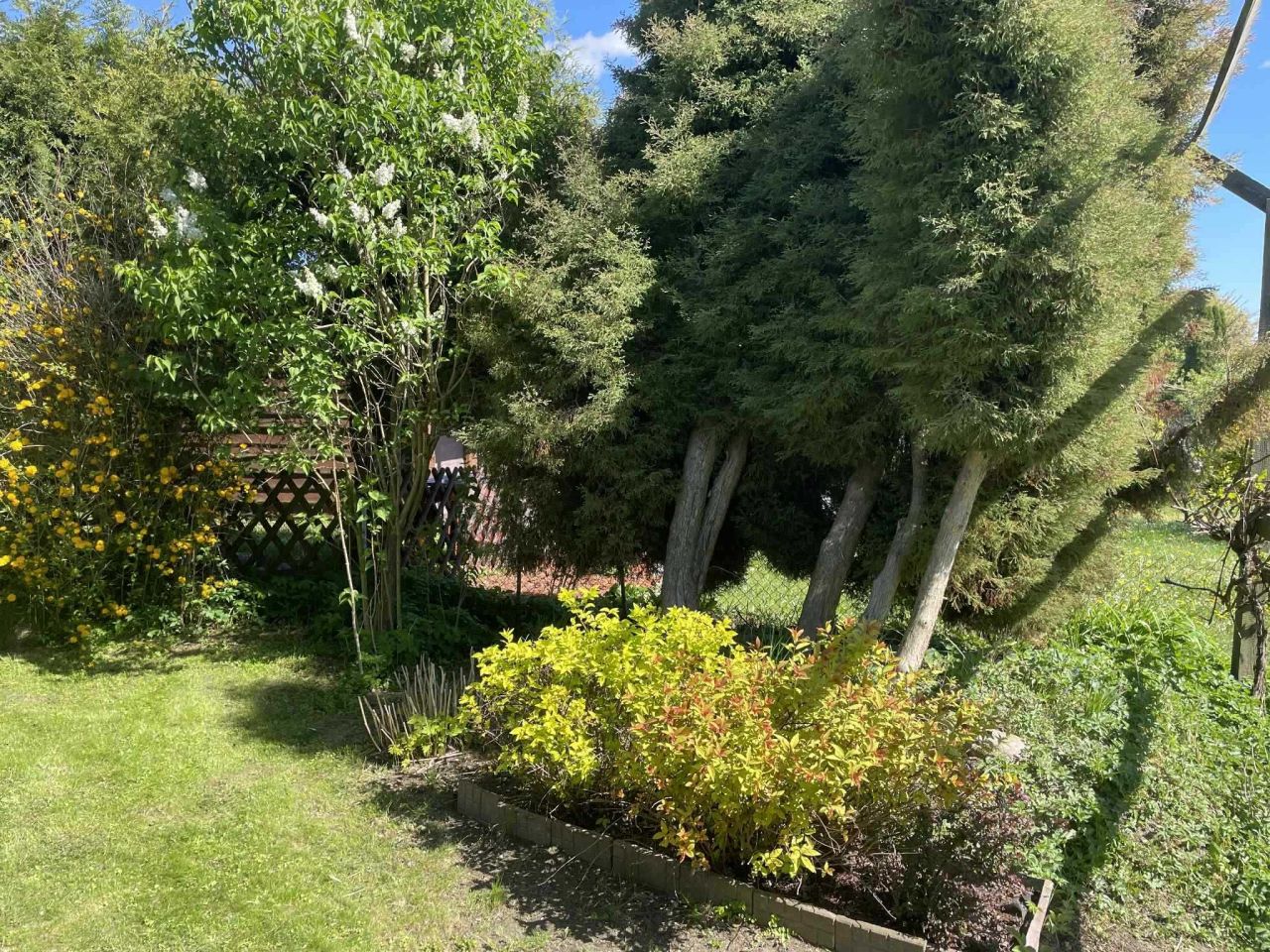 Działka rod Płock, ul. Targowa. Zdjęcie 5