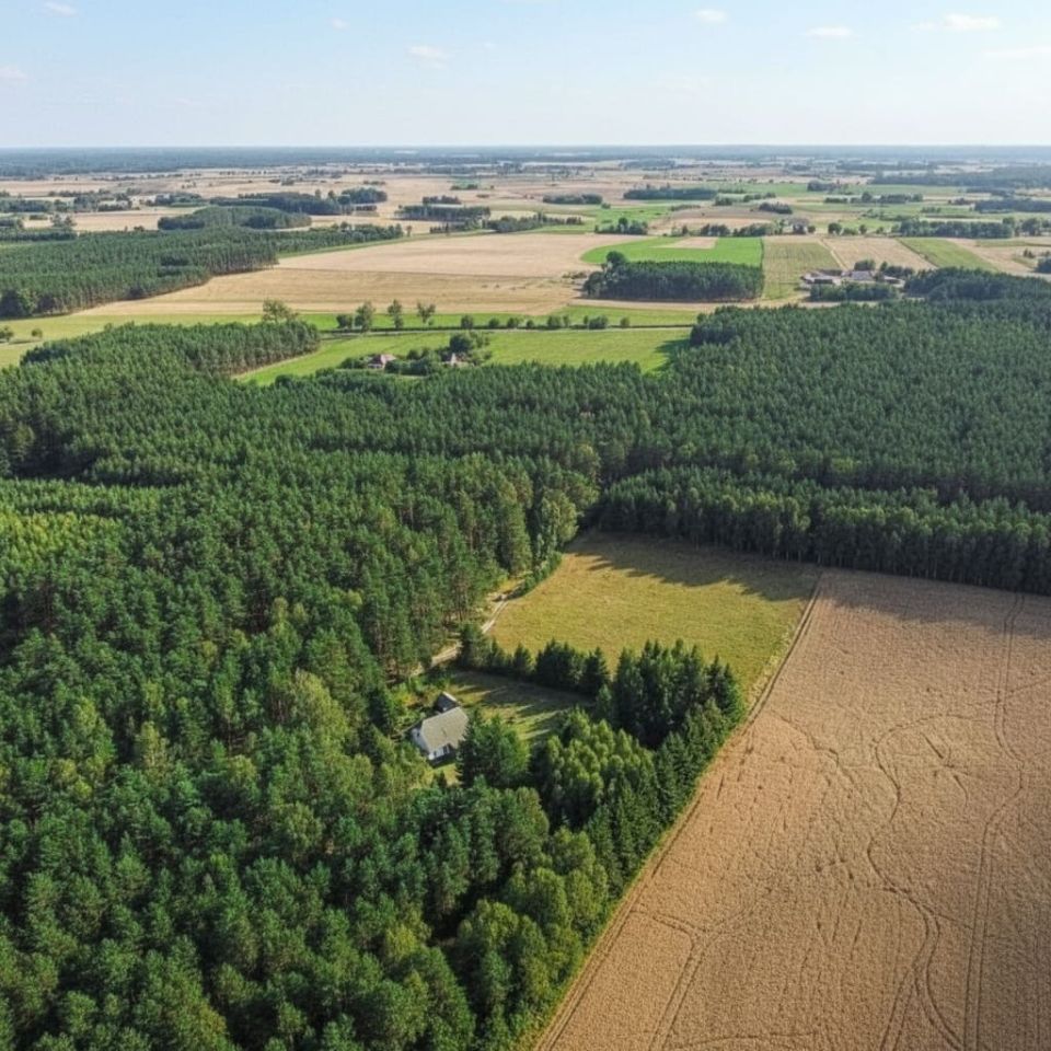 Działka budowlana Bysław, ul. Leśna Polana. Zdjęcie 3