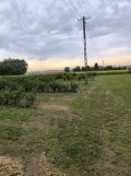 Działka rolno-budowlana Miłocin. Zdjęcie 4