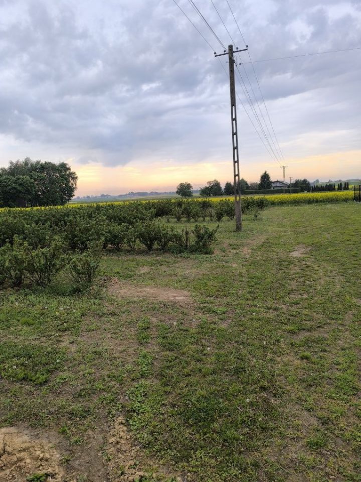 Działka rolno-budowlana Miłocin. Zdjęcie 5