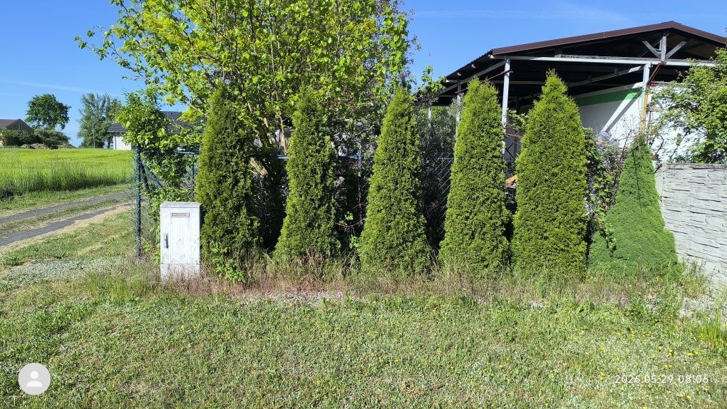 Działka rolno-budowlana Cekanów. Zdjęcie 5