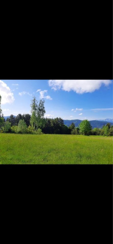 Działka rolna Ochotnica Górna. Zdjęcie 4