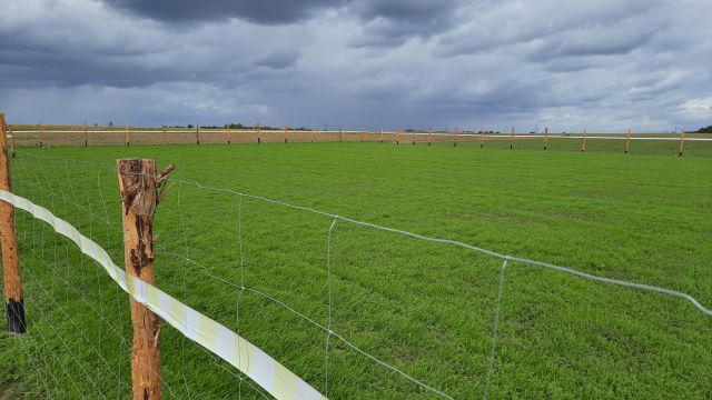 Działka budowlana Strachocin. Zdjęcie 1