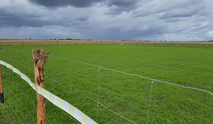 Działka budowlana Strachocin