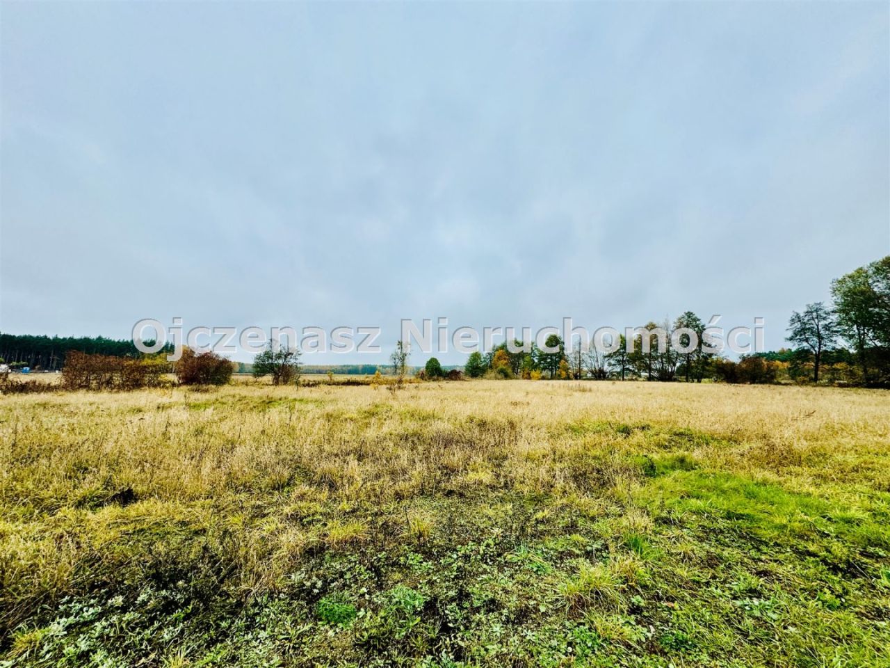 Działka budowlana Rynarzewo. Zdjęcie 2