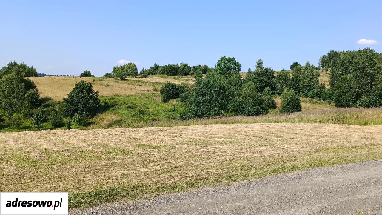 Działka budowlana Zakrzów. Zdjęcie 4
