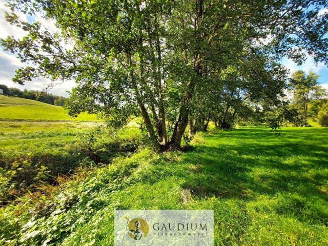 Działka Kobysewo. Zdjęcie 17